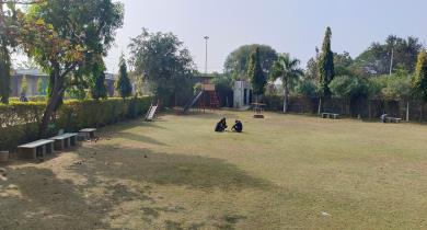 Vidya PT College Bhilwara