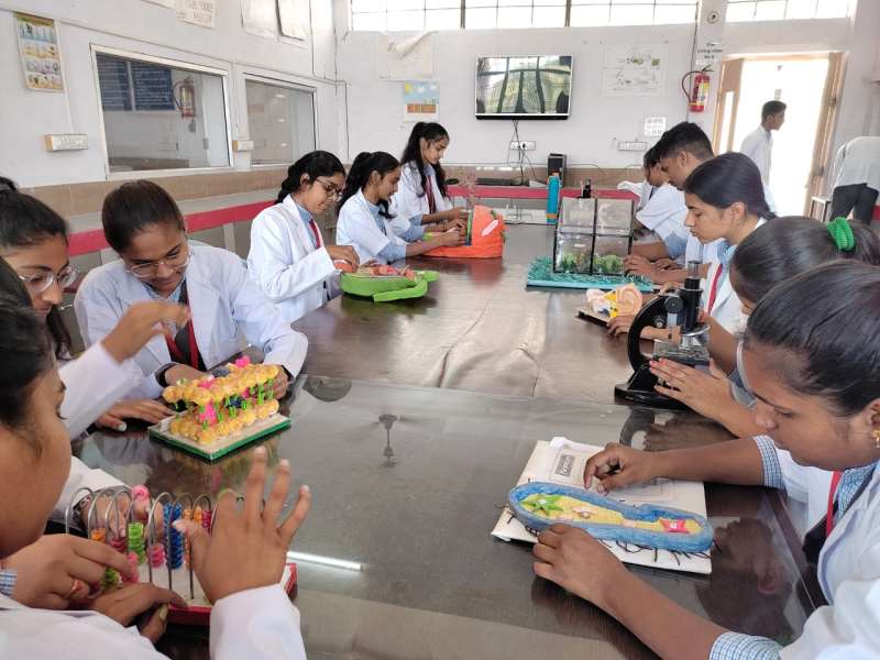 Vidya Global School Bhilwara - Best CBSE School In Bhilwara